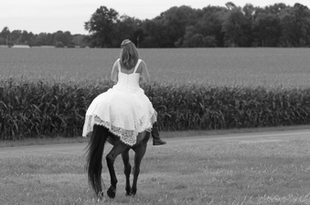 Enlarge photo 340