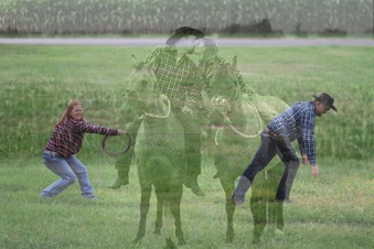 Enlarge photo 420