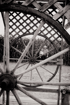 Enlarge photo 478