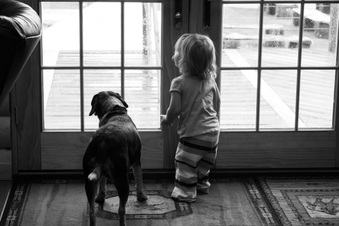 Enlarge photo 653