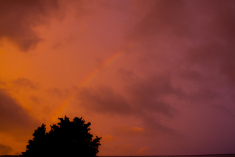 Enlarge photo 1315