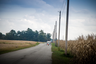 Enlarge photo 685
