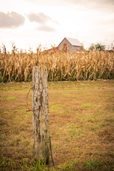 Enlarge photo 690