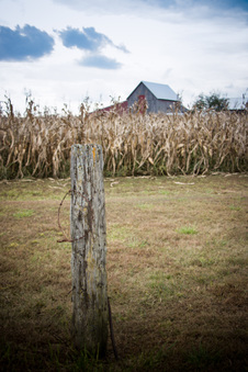 Enlarge photo 691