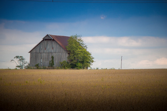 Enlarge photo 692