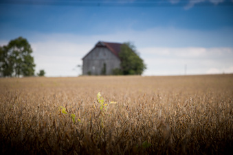 Enlarge photo 698