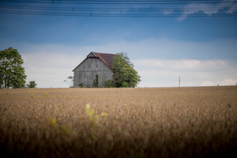 Enlarge photo 699