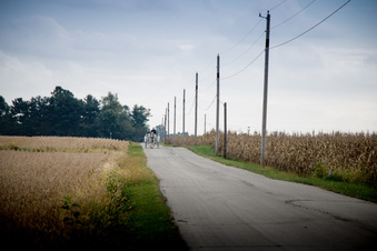 Enlarge photo 701
