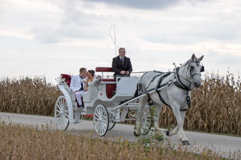 Enlarge photo 705