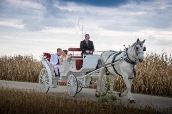 Enlarge photo 706