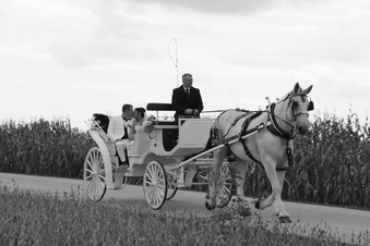 Enlarge photo 707