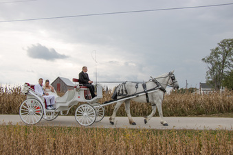 Enlarge photo 712