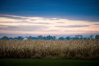 Enlarge photo 1132