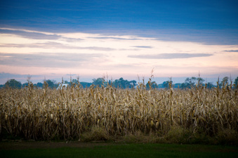 Enlarge photo 1134