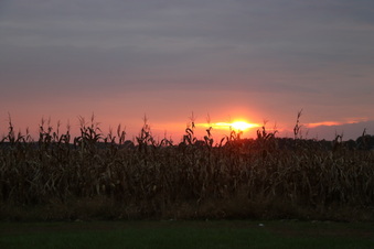 Enlarge photo 1140