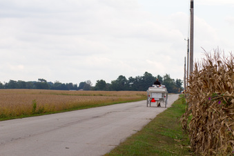 Enlarge photo 1525