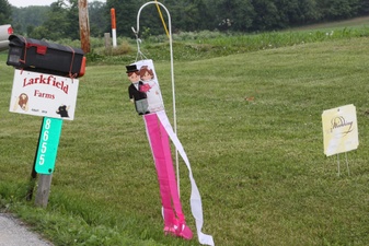 Enlarge photo 234