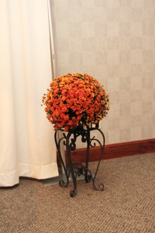 Enlarge photo 3