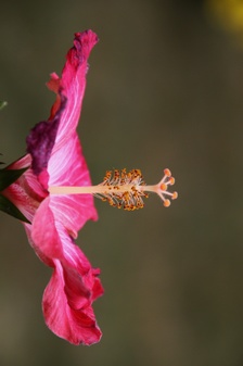 Enlarge photo 427