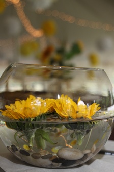 Enlarge photo 422