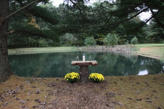 Enlarge photo 415