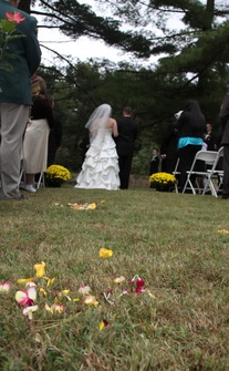 Enlarge photo 324