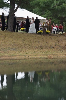Enlarge photo 311