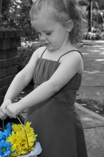 Enlarge photo 280