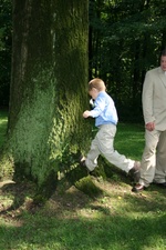 Enlarge photo 157