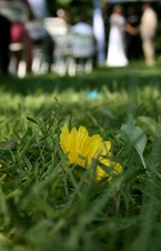 Enlarge photo 198