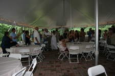 Enlarge photo 378