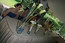 Enlarge photo 380