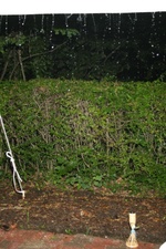 Enlarge photo 469