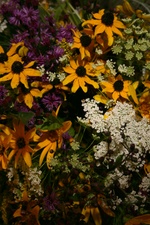 Enlarge photo 219