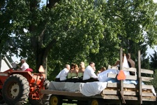 Enlarge photo 272