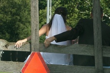 Enlarge photo 248