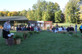 Enlarge photo 245