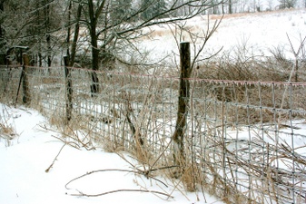 Enlarge photo 41
