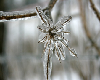 Enlarge photo 42
