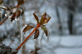Enlarge photo 38