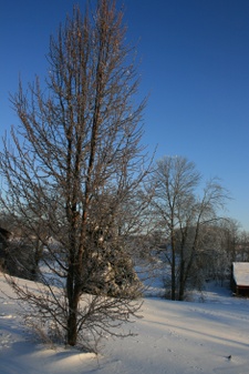 Enlarge photo 36