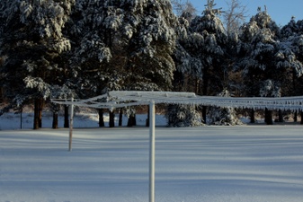 Enlarge photo 37