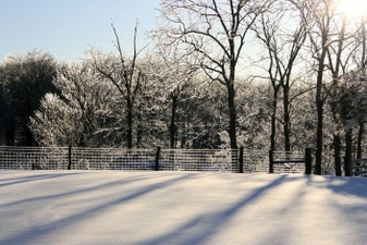Enlarge photo 35