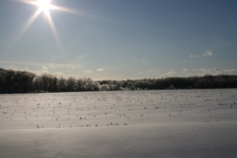 Enlarge photo 33