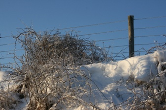 Enlarge photo 31