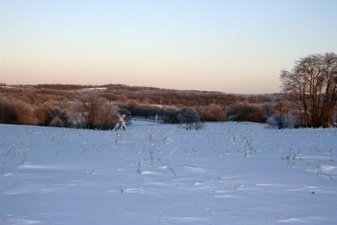 Enlarge photo 30