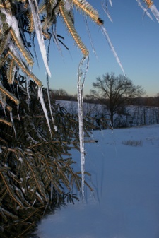Enlarge photo 27