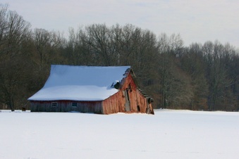 Enlarge photo 28