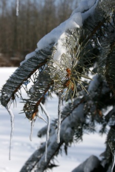 Enlarge photo 25