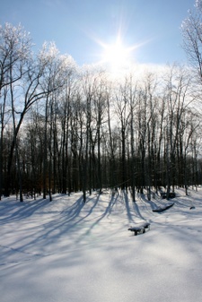 Enlarge photo 23